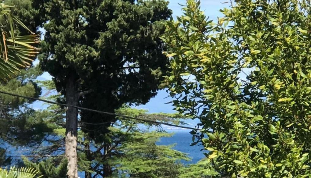 Apartment Aquamarin, Blizu Mora S Pogledom Na More, Za Do 6 Osoba Malinska Eksteriør billede
